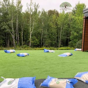 Toronto artificial grass infill