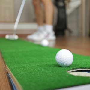 indoor artificial grass putting green