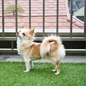 artificial turf for dogs