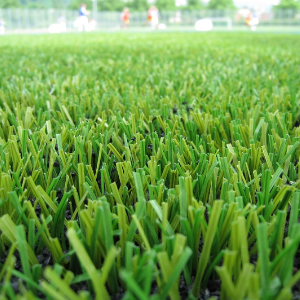 artificial grass Toronto