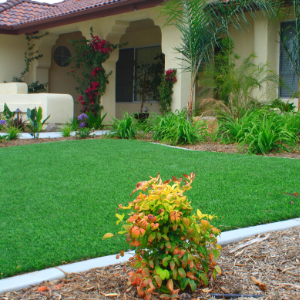 artificial grass front lawn 