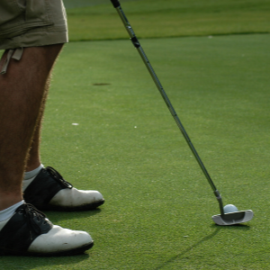 artificial grass putting green