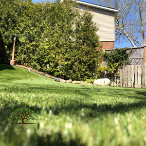 artificial grass Brampton artificial grass Brampton