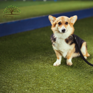 artificial turf Toronto