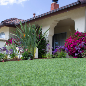 weed free artificial lawn