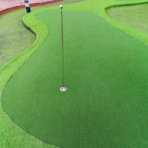 artificial grass backyard golf green