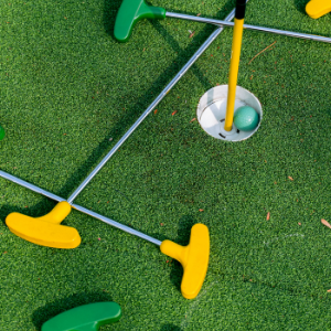 backyard putting green with artificial turf