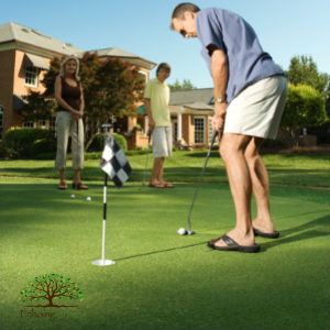 backyard artificial grass putting green