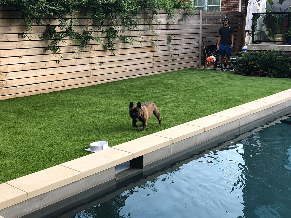 artificial grass around pool